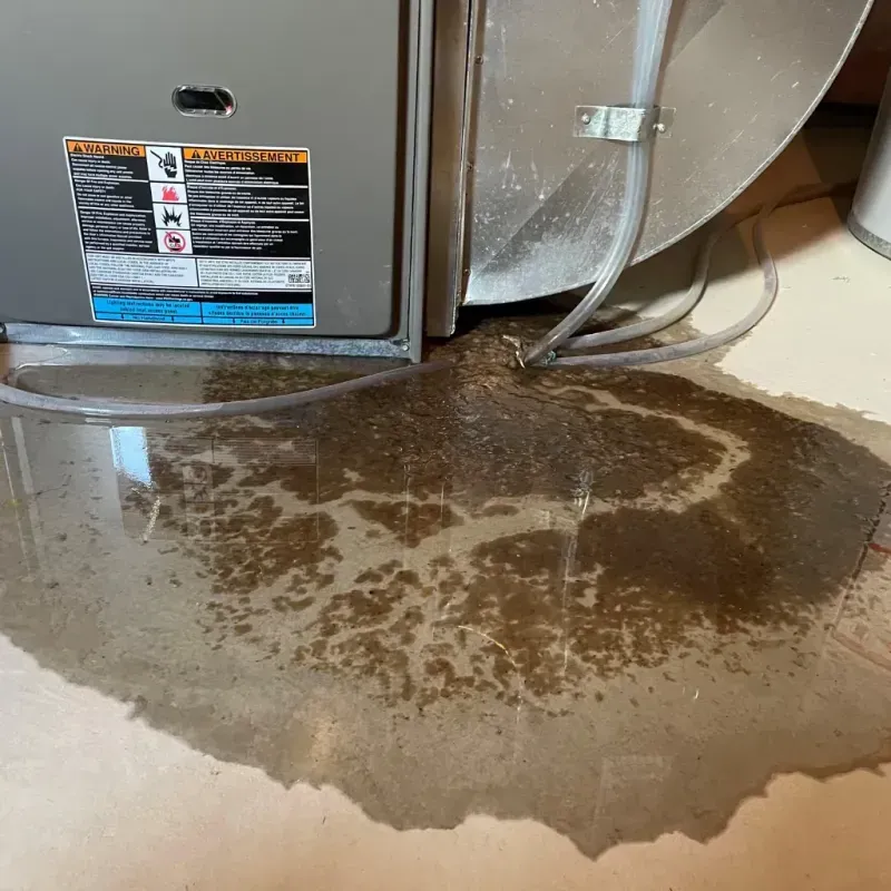 Appliance Leak Cleanup in Polk City, FL